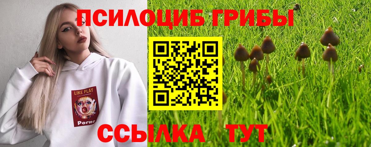 Арсеньев  Галлюциногенные грибы Psilocybe  Псилоцибиновые грибы ЛСД  Вход с VPN 